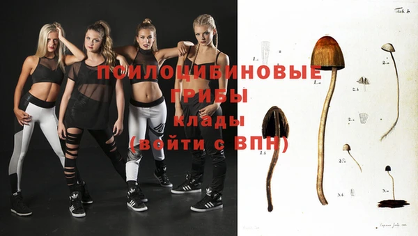 спиды Арсеньев