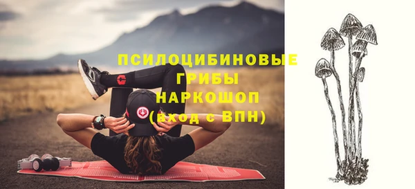 спиды Арсеньев