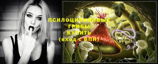 спиды Арсеньев