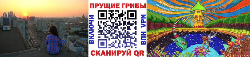 дарнет шоп  Туринск  Галлюциногенные грибы Magic Shrooms 